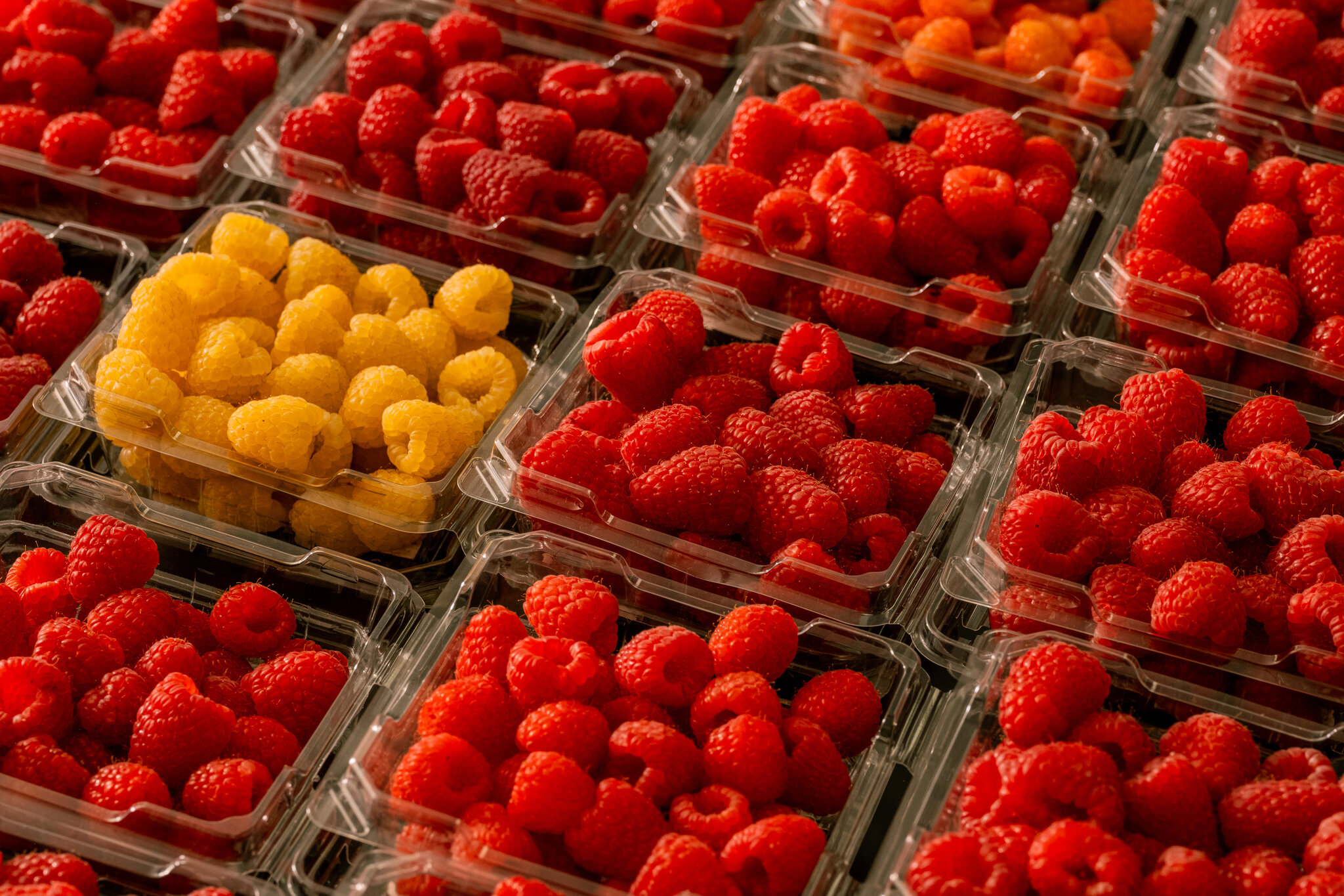 Why Are Berries Everywhere, in Every Season? Driscoll’s.