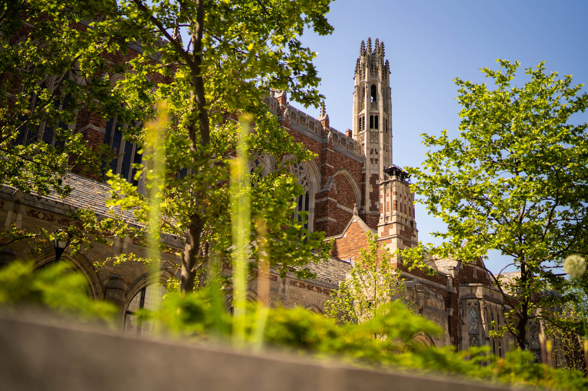 Yale Law School Fights to Stop Trump Deal