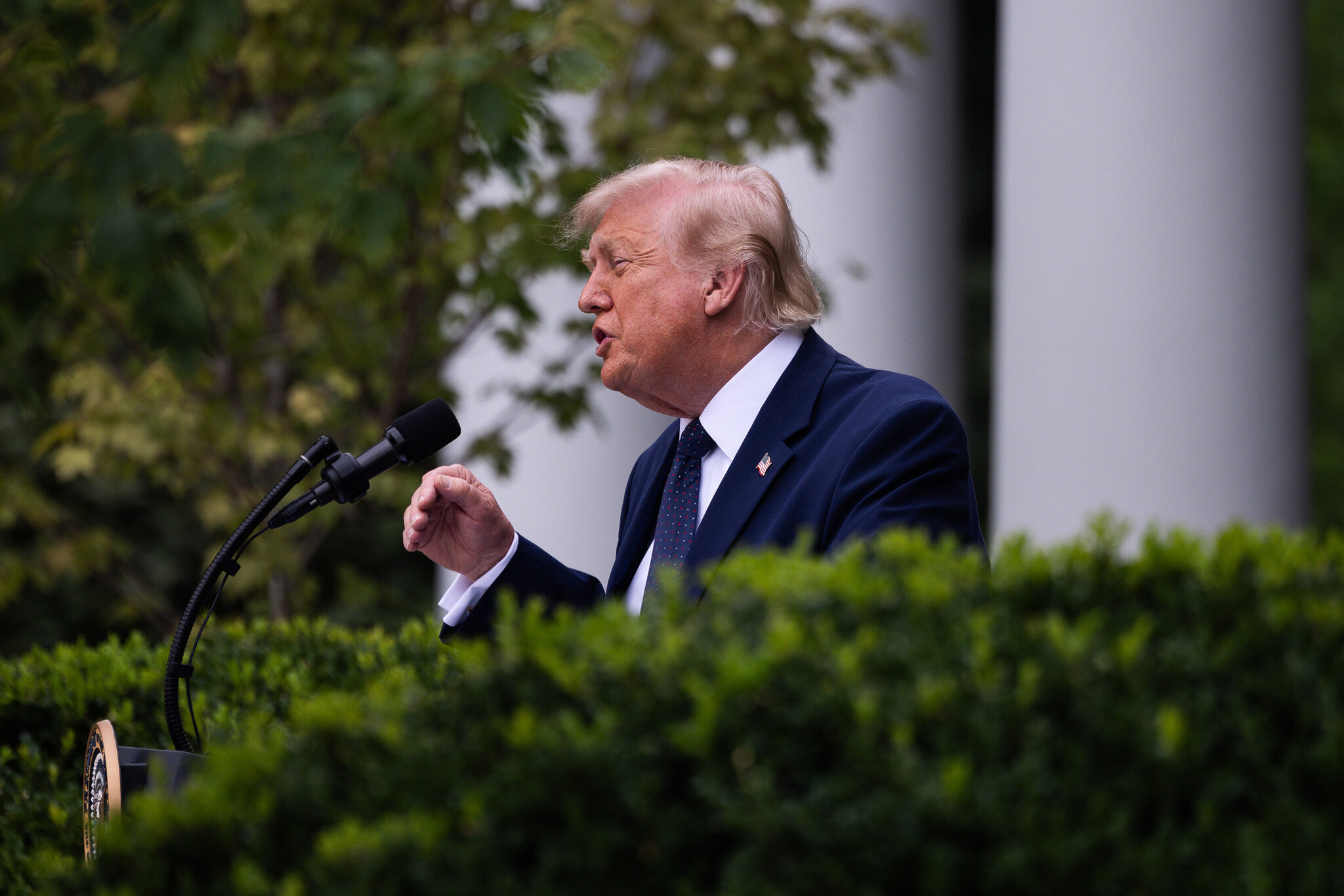 Trump Says He’ll Ask Supreme Court to Rehear Citizenship Case, an Unlikely Event