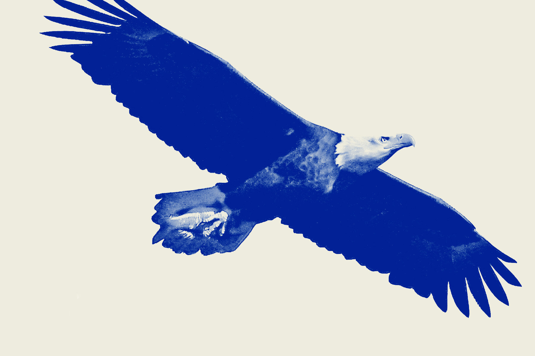 The American Economy Isn’t as Bad as You Might Think