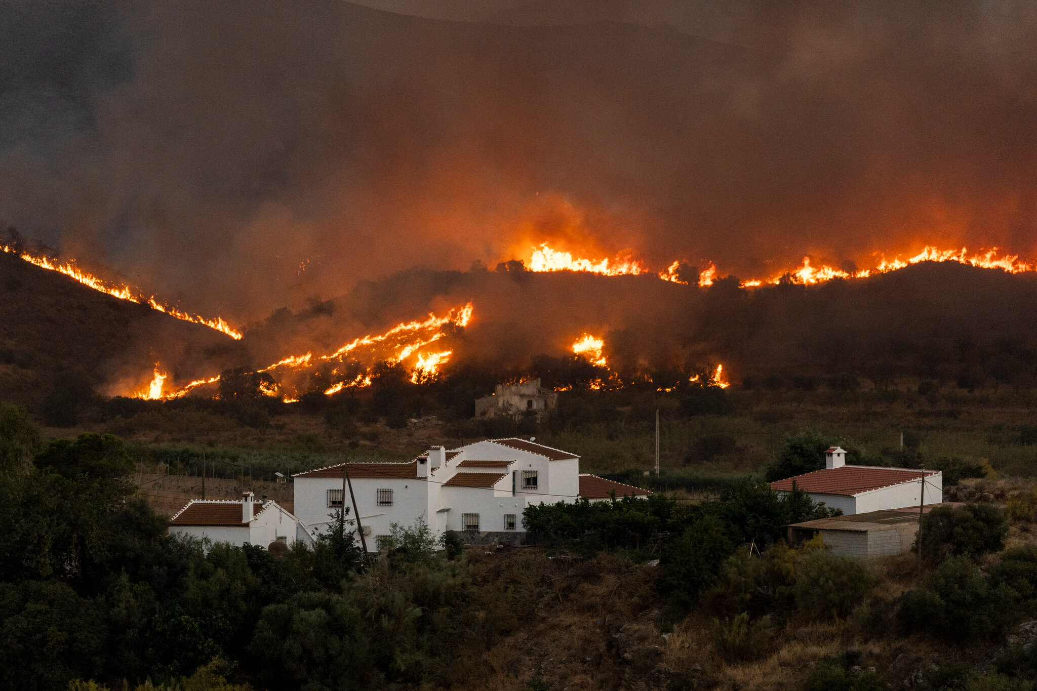 A Wildfire Killed 12 People in Southern Spain. Here’s the Latest.