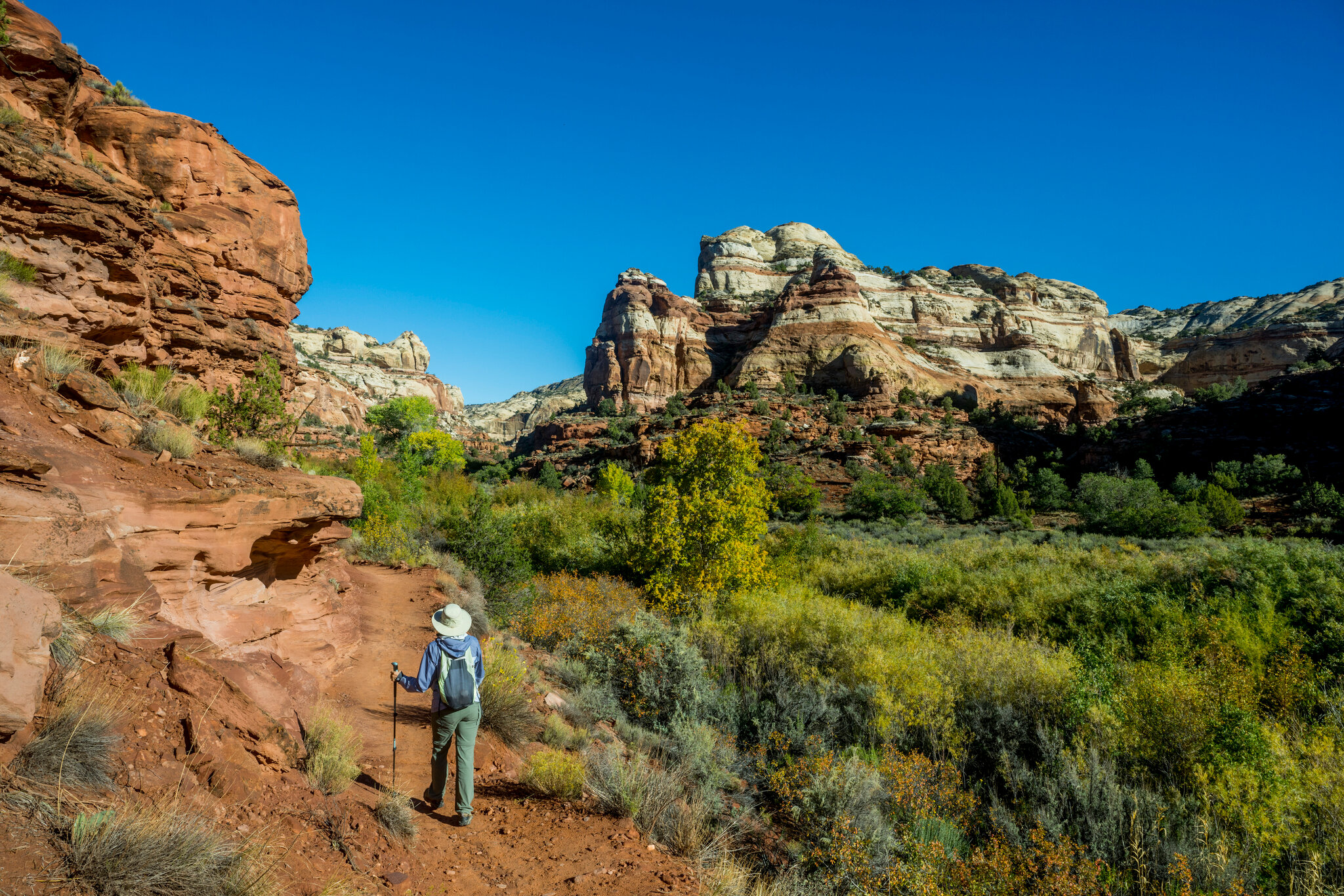 Trump Sharply Cuts the Size of Two National Monuments in Utah