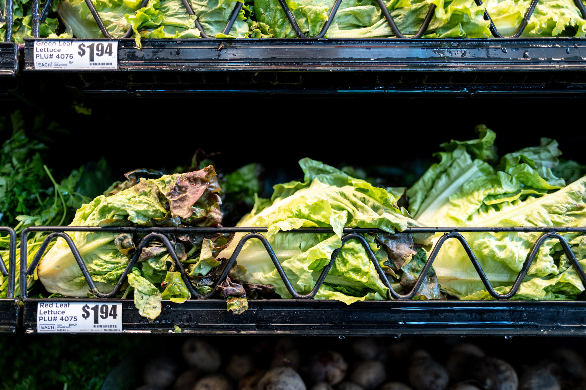 Health Officials in Michigan Identify ‘Potential Source’ of Cyclospora Outbreak