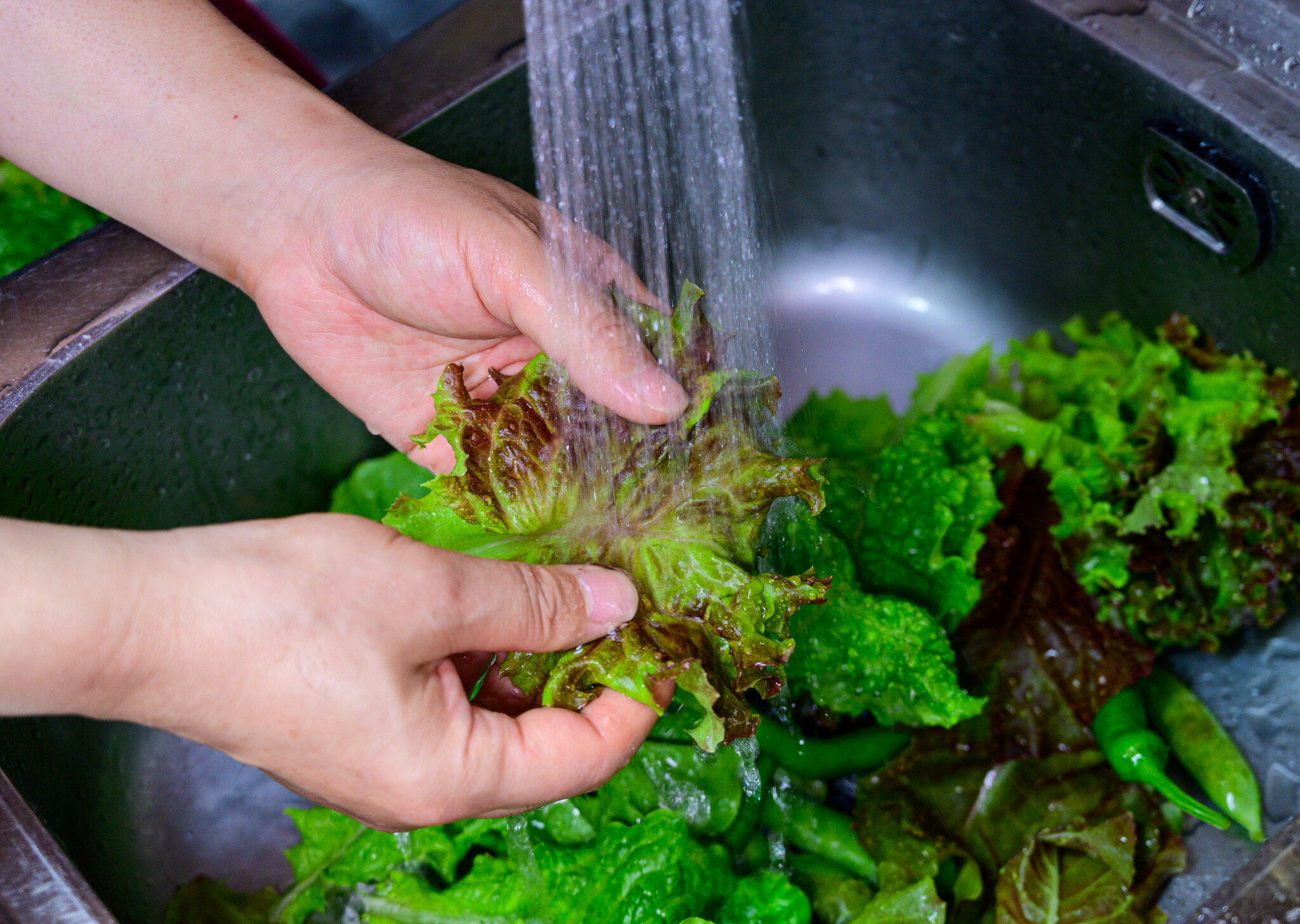 Cyclospora Cases Rise Rapidly, With No Source Yet Confirmed