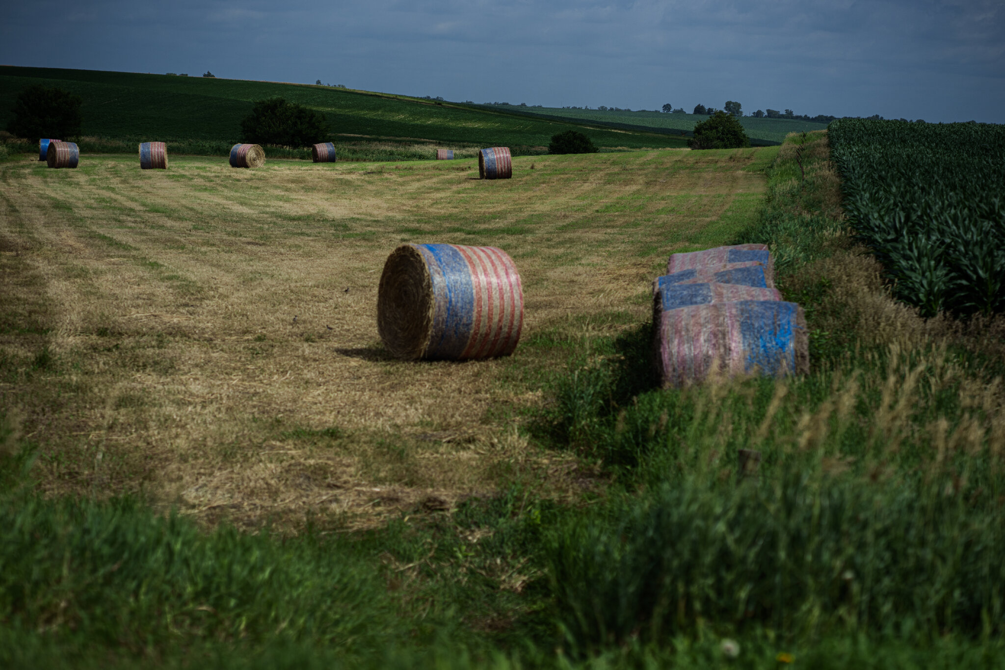 Red State, Blue Governor: It Could Happen in Iowa. Would It Matter?