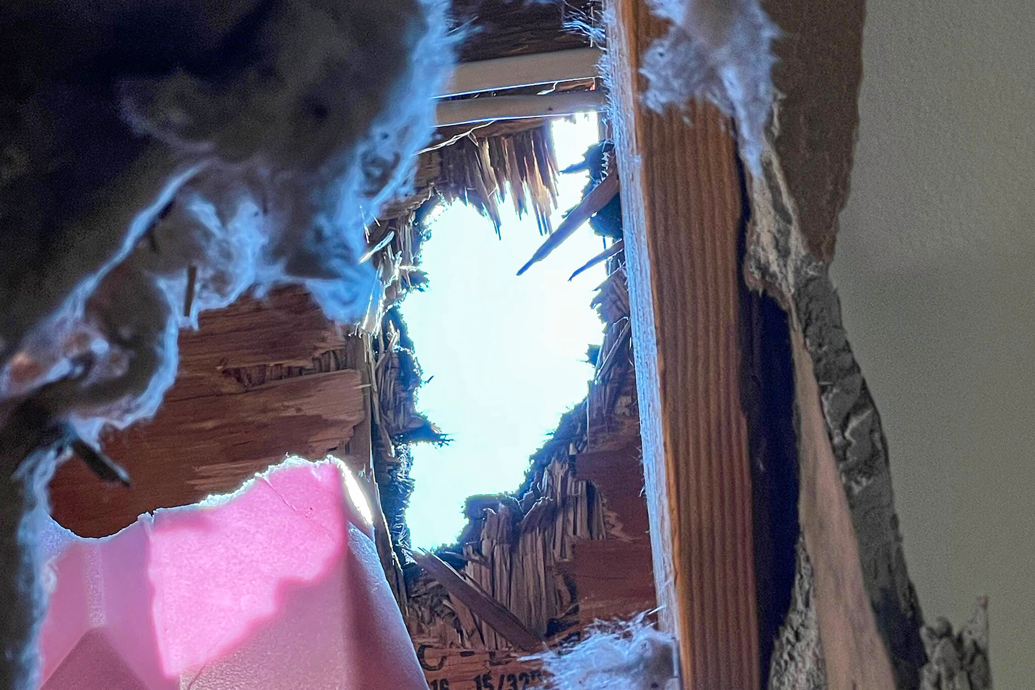 It’s a Treasure to Science. Too Bad It Came Through Their Roof.