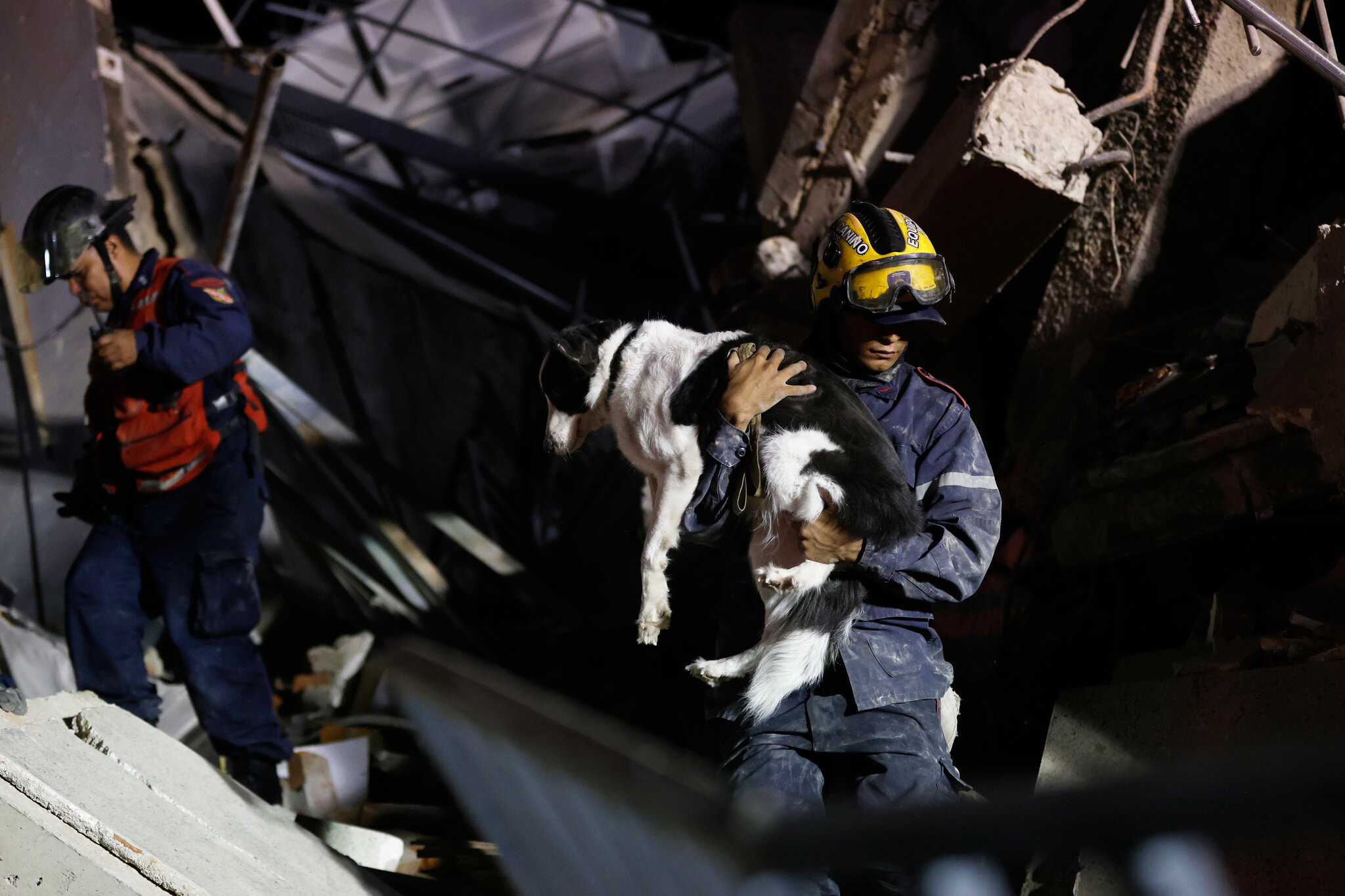 In Venezuela’s Rubble, a Search for the Family Pets