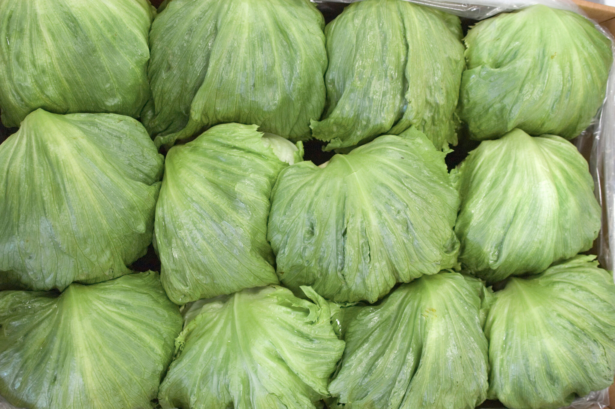 Taylor Farms to Remove Some Products After Link to Cyclosporiasis Cases
