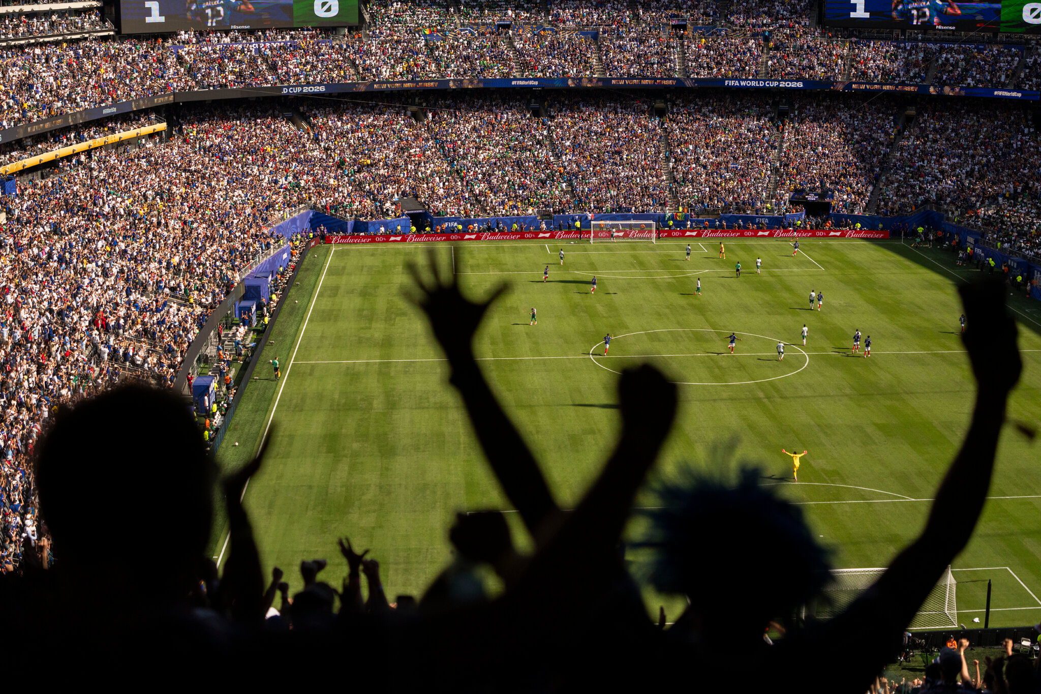 Delightful World Cup Stories