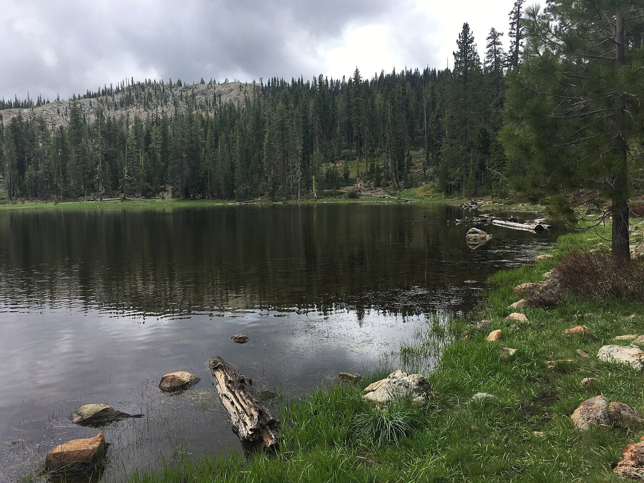 U.S. Forest Service Employees Are Freed After 15-Hour Hostage Ordeal