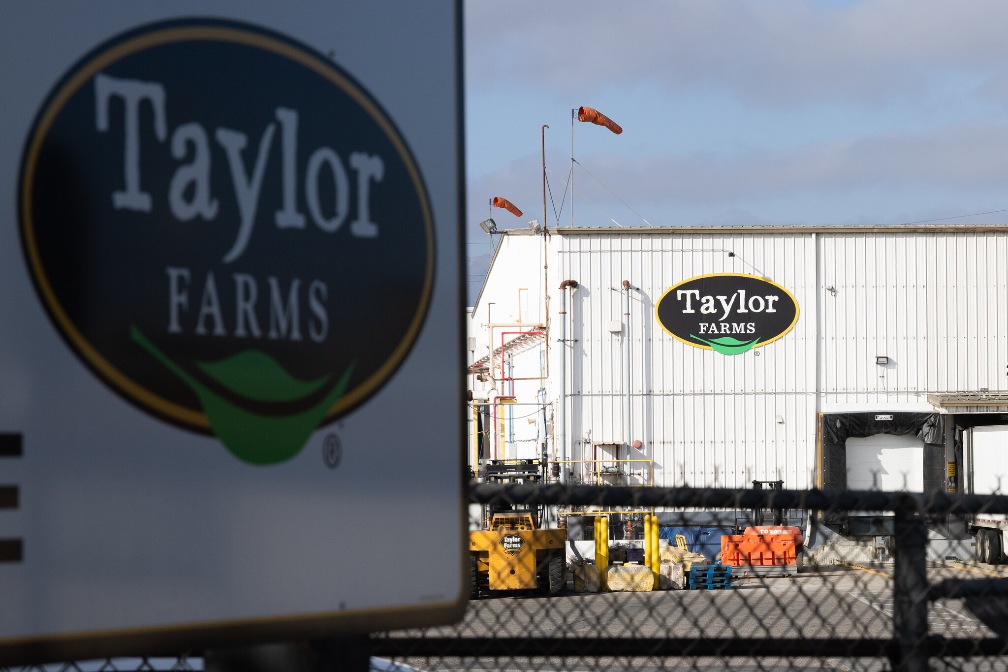 Taylor Farms Expands Iceberg Lettuce Recall to 27 States