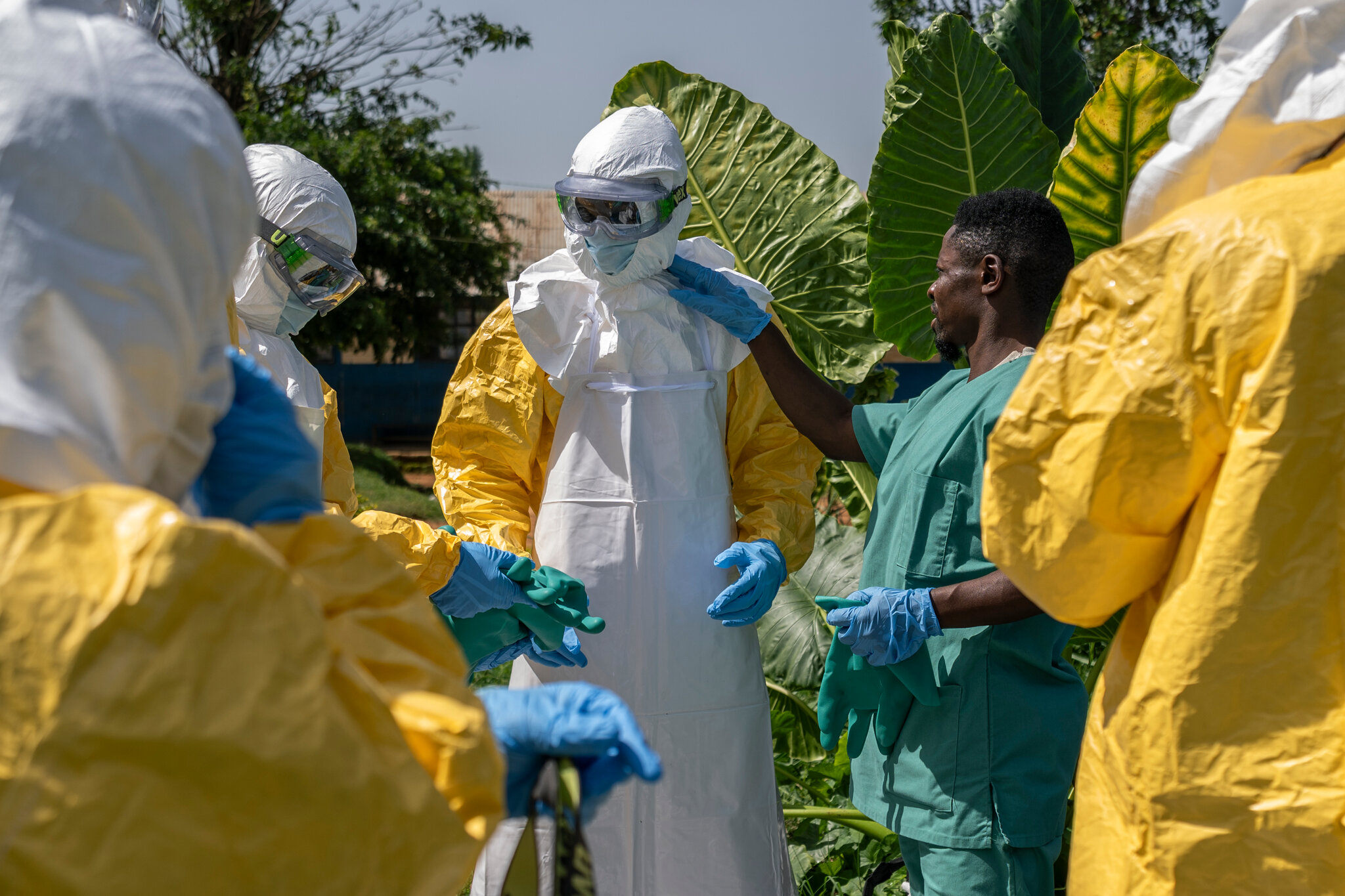 Epidemics and Rage