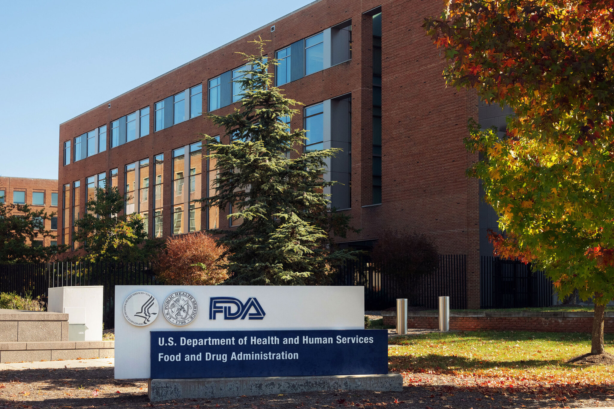 F.D.A. Panel’s Vote on Peptides Raises Concerns About a Prescribing Boom