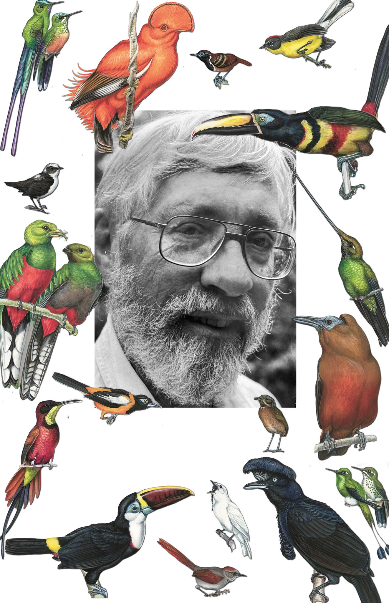 Guy Tudor, Whose Art Brought Obscure Birds to Life, Dies at 91