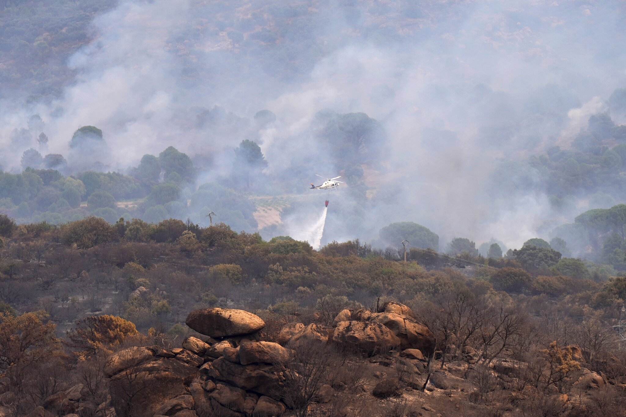 ‘There have always been wildfires here, but never like this.’
