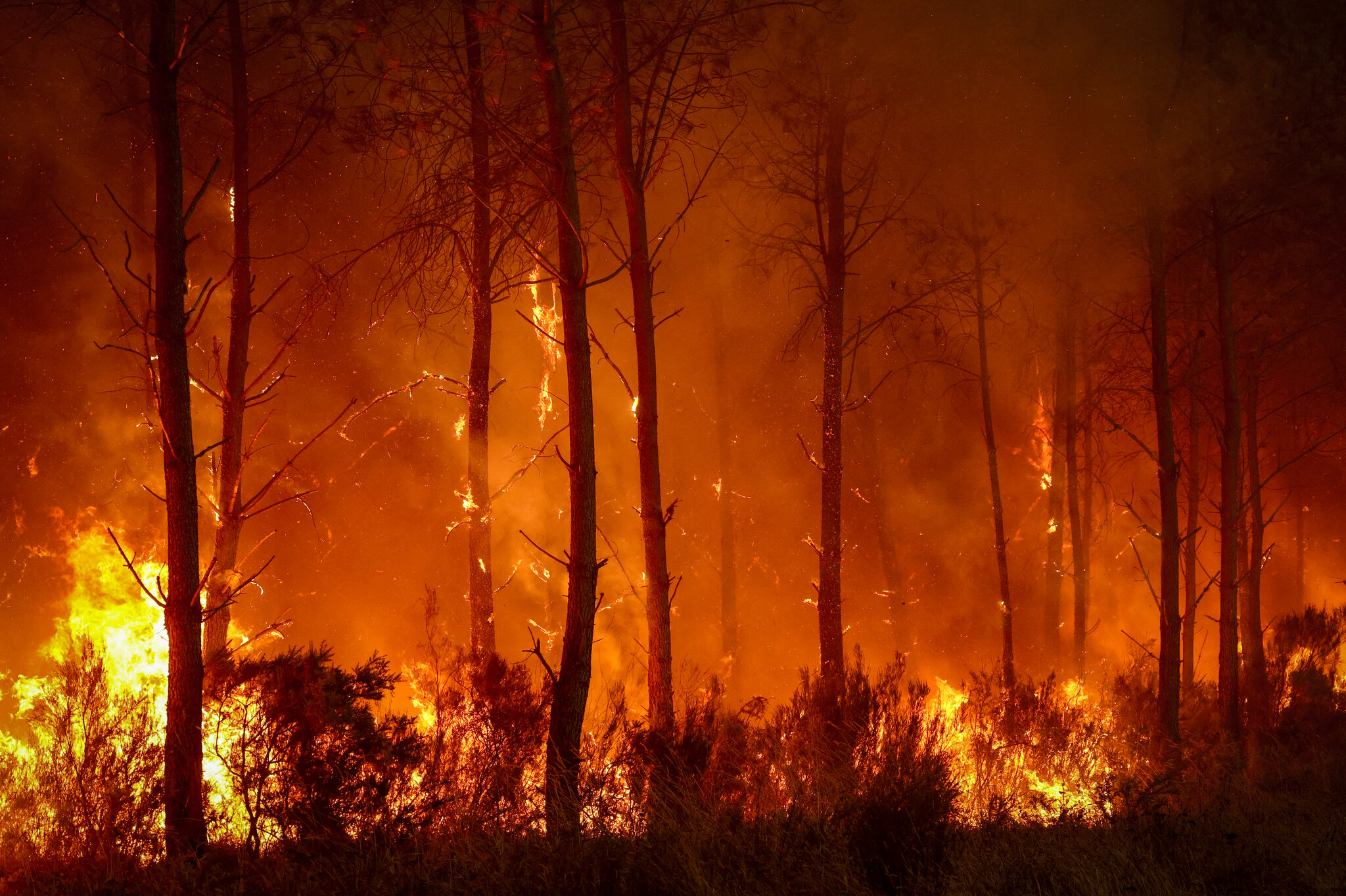 Wildfires Live Updates: Extreme Heat Threatens New Blazes as Spain and France Confront ‘Unprecedented’ Fire Season