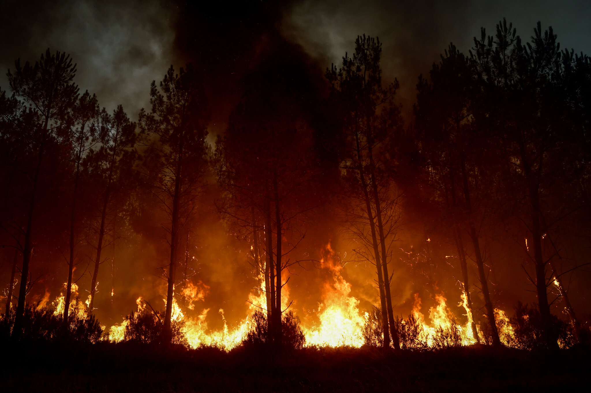 As Communities Unite Against Europe’s Wildfires, Politicians Trade Blows
