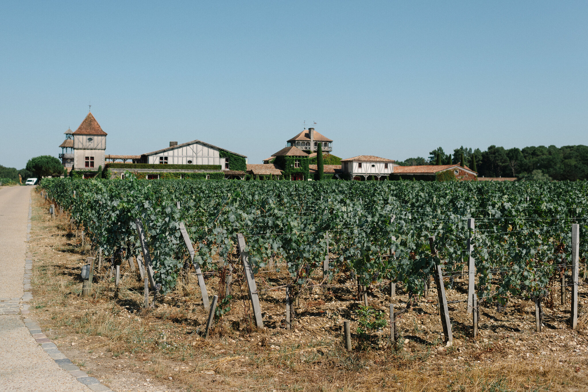 As Fires Menace Bordeaux, Winemakers See Another Blow to Their Livelihood