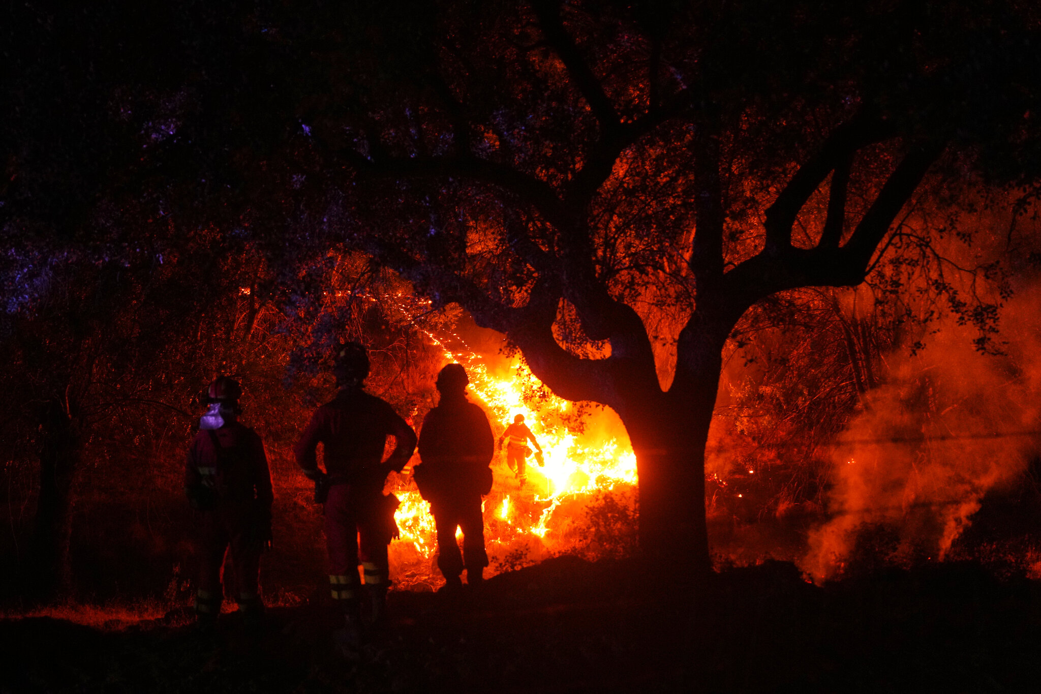 France and Spain Race to Tamp Down Wildfires Before Heat Wave Hits