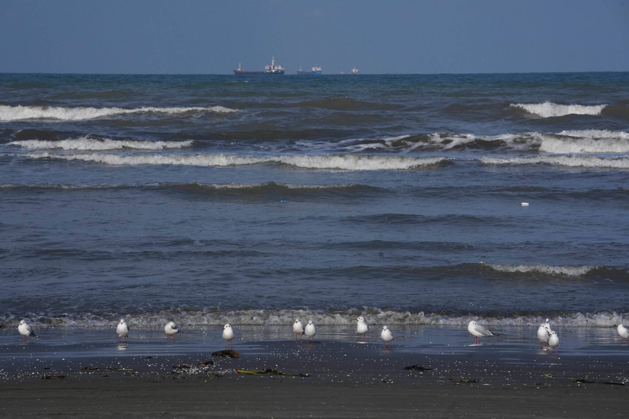 Ukraine’s Strike on an Iranian Ship Could Bring Two Wars Closer