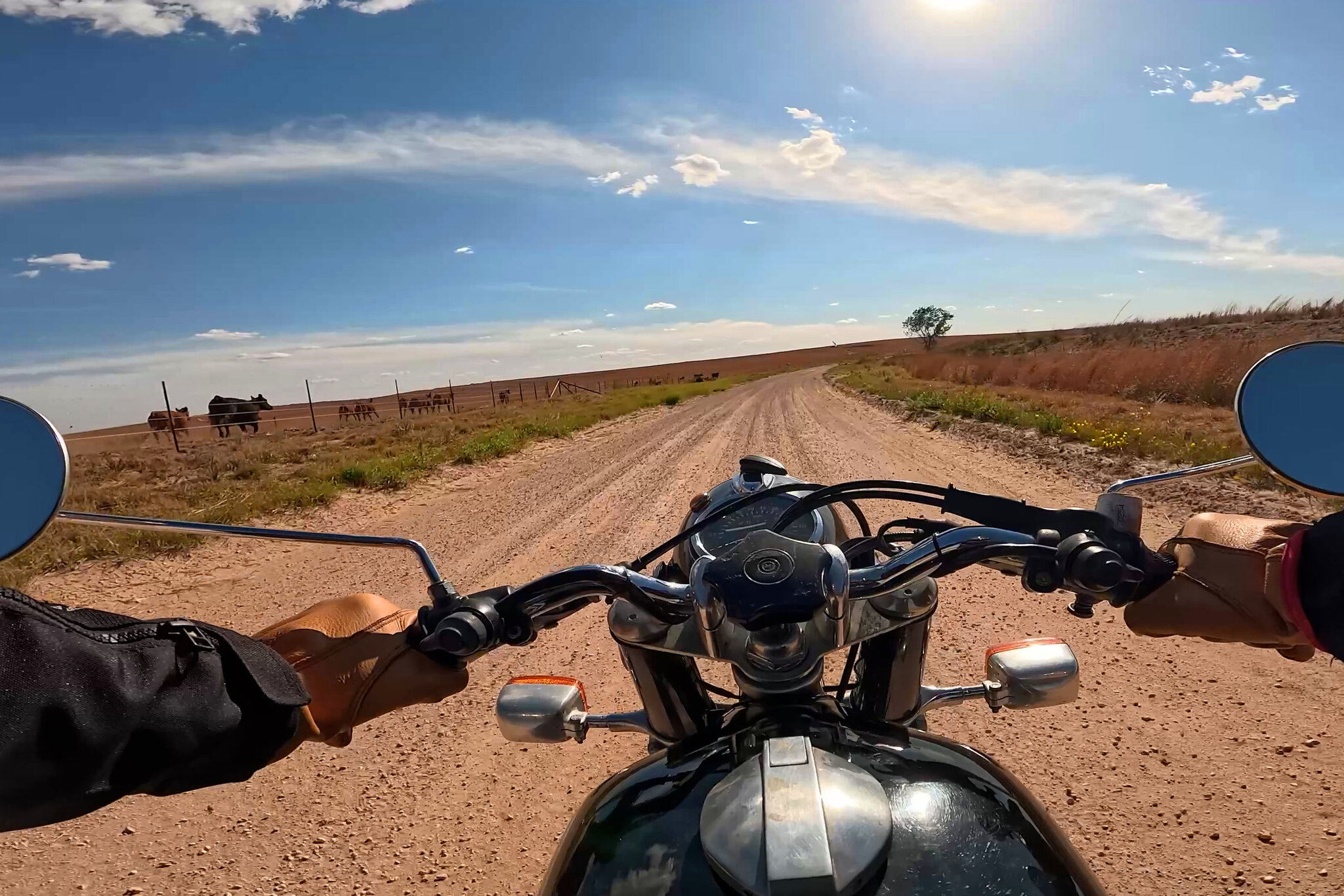 2 Wheels, 14 Days, 2,448 Miles: A Motorcycle Tour of Route 66