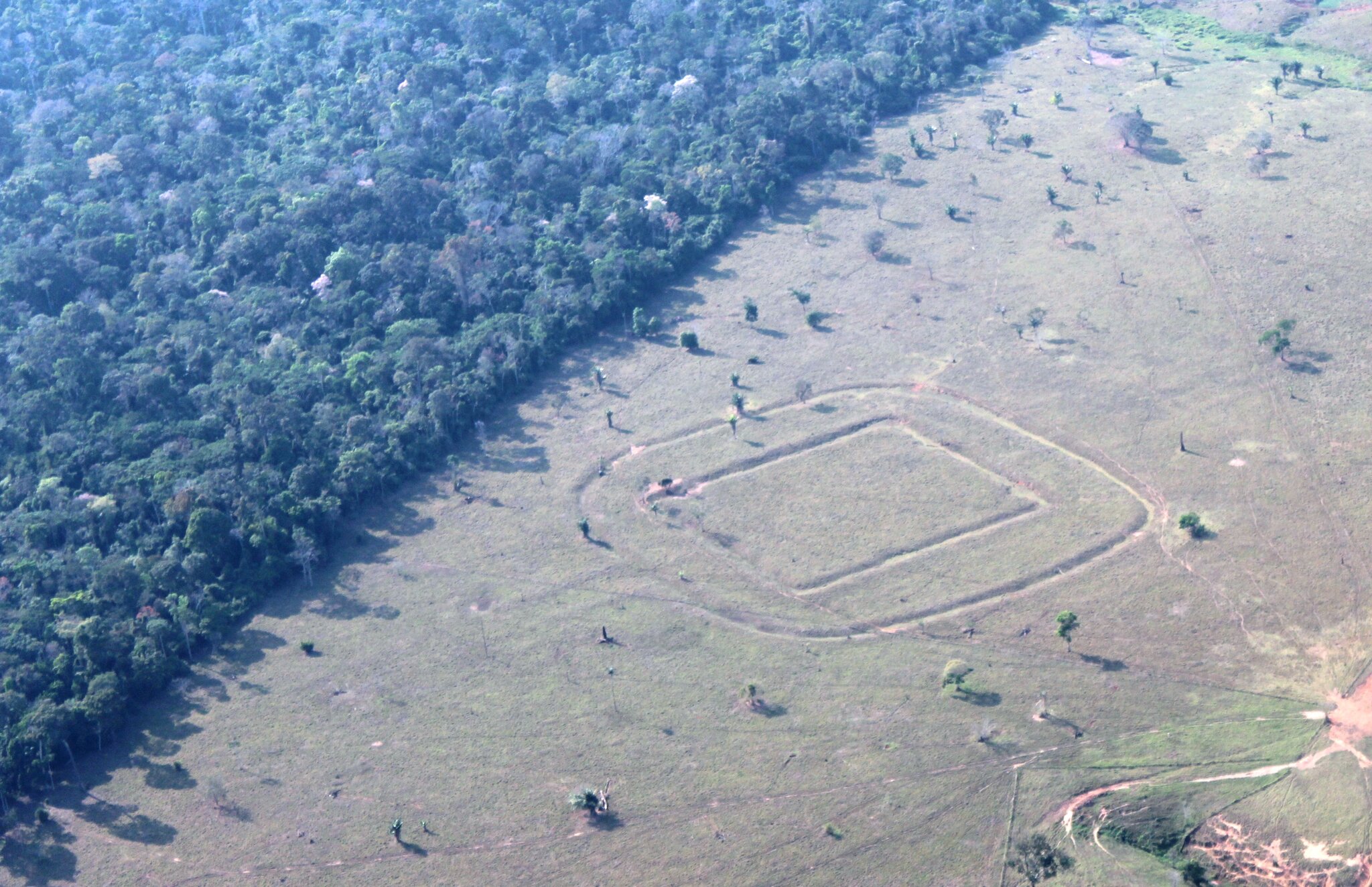Archaeologists Find Hundreds of Ancient Glyphs in the Amazon