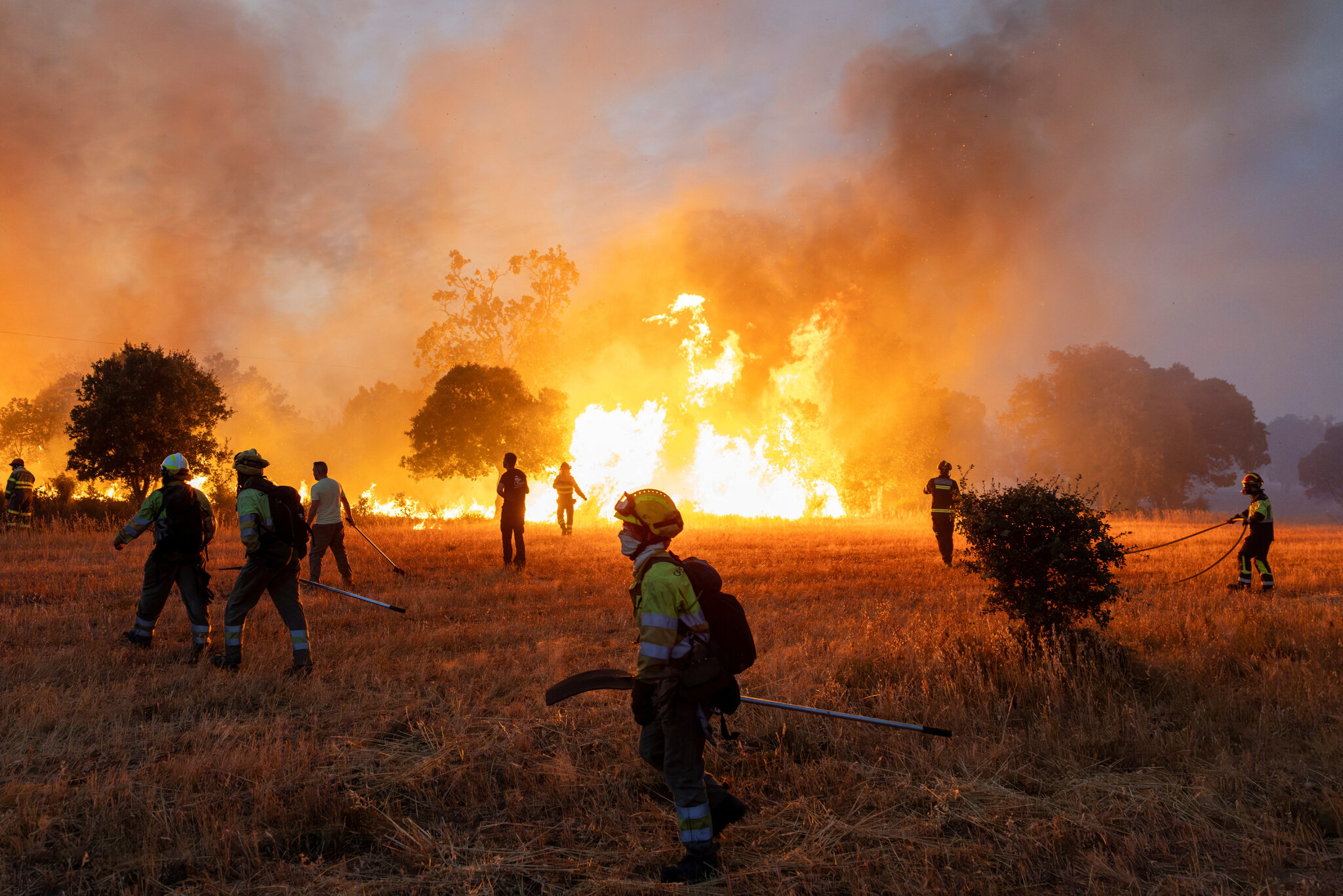 Earth’s Warming Primed France and Spain to Burn, Scientists Find
