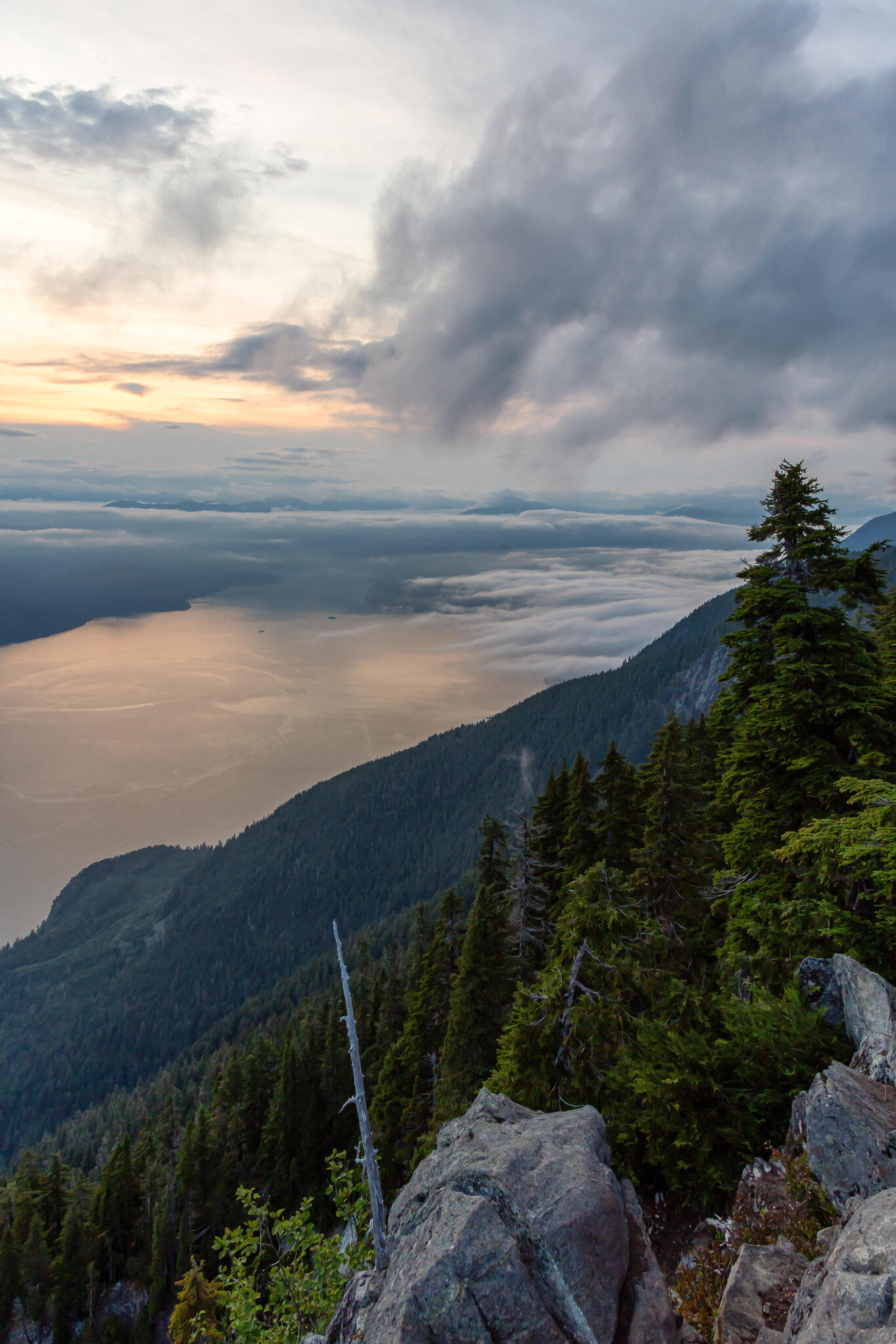 3 Teenagers Used Google Maps for a Hike. They Were Rescued 12 Hours Later.