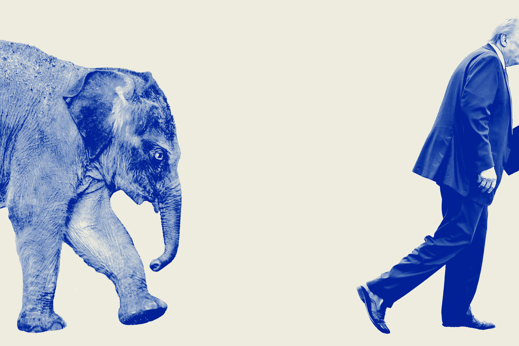 What Happens to America’s Political Parties After Trump?