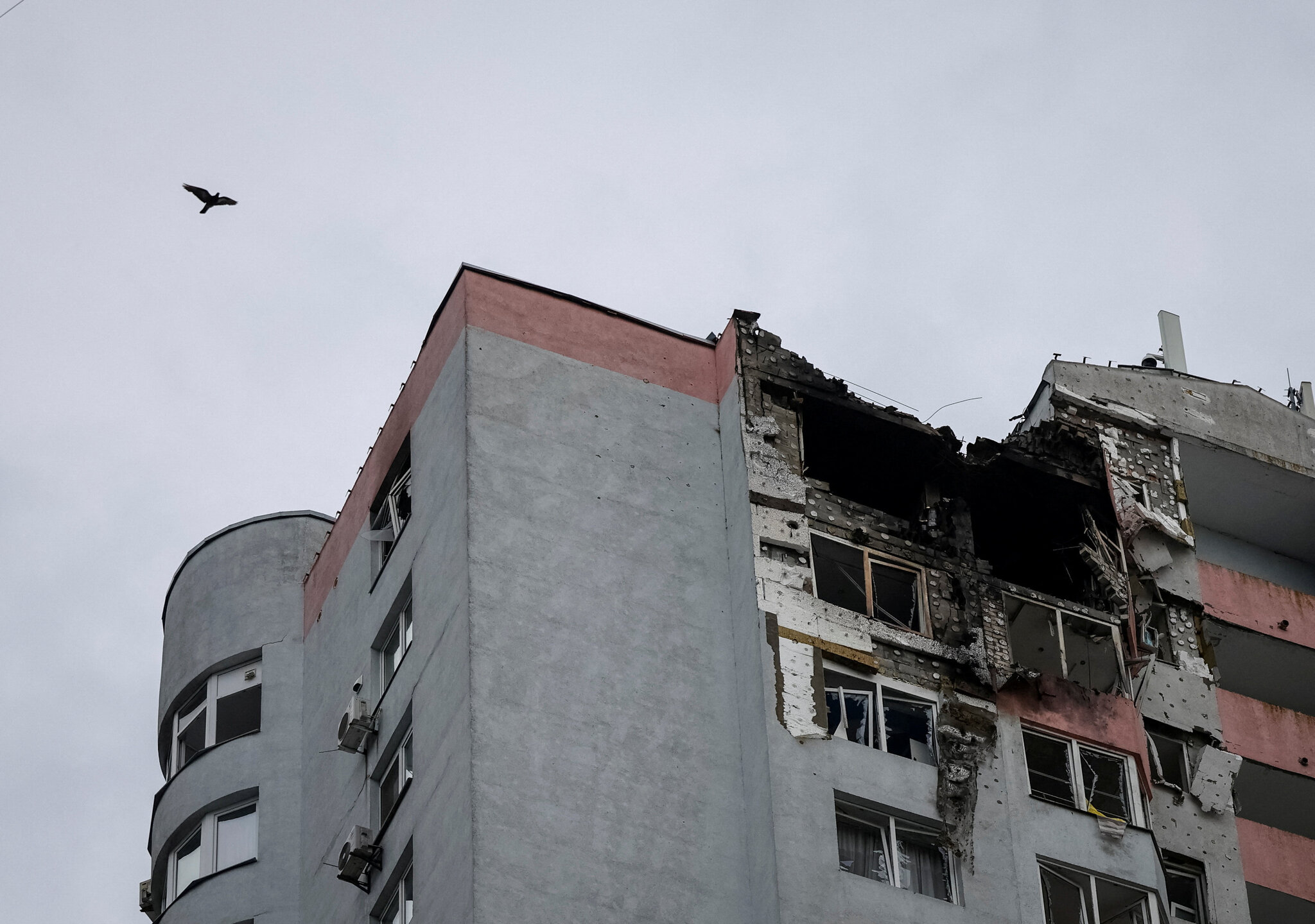 Trump’s Moment to End the Russia-Ukraine War Has Arrived