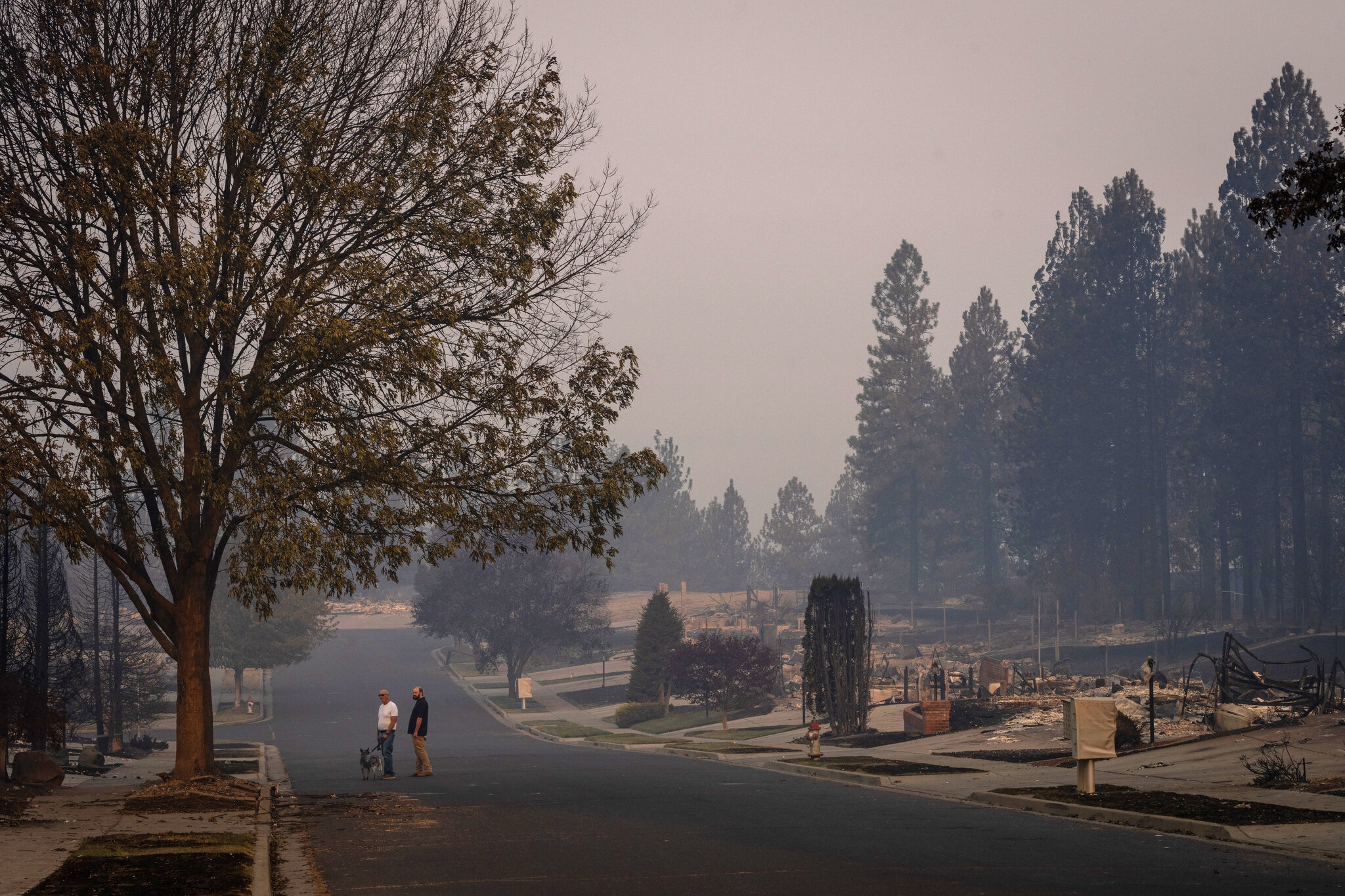 ‘A War Zone’: Spokane Wildfires Leave a Devastating Trail of Destruction