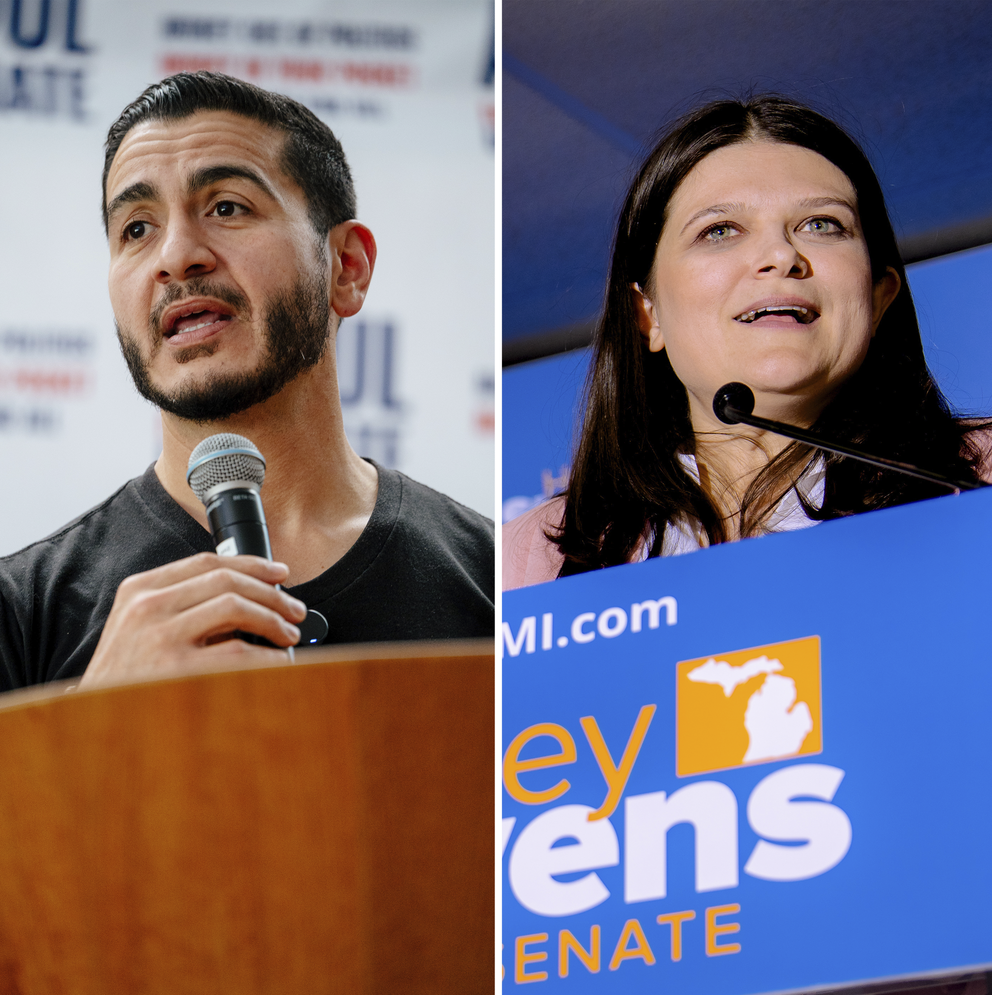 The Michigan Senate primary pits old-guard Democrats against a rising coalition.