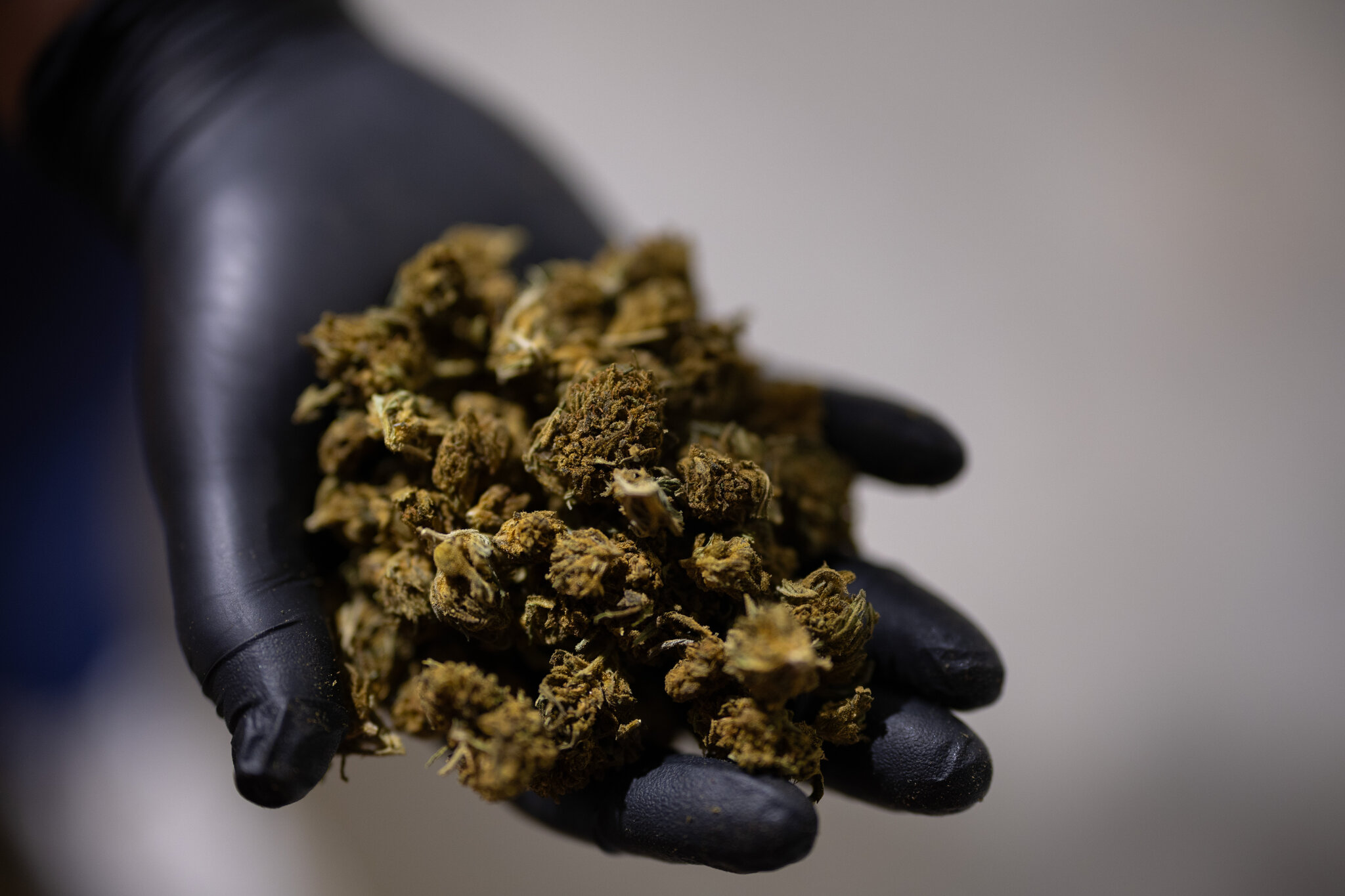 Trump Seeks a Boost for Hemp That Would Benefit a Top Aide’s Family