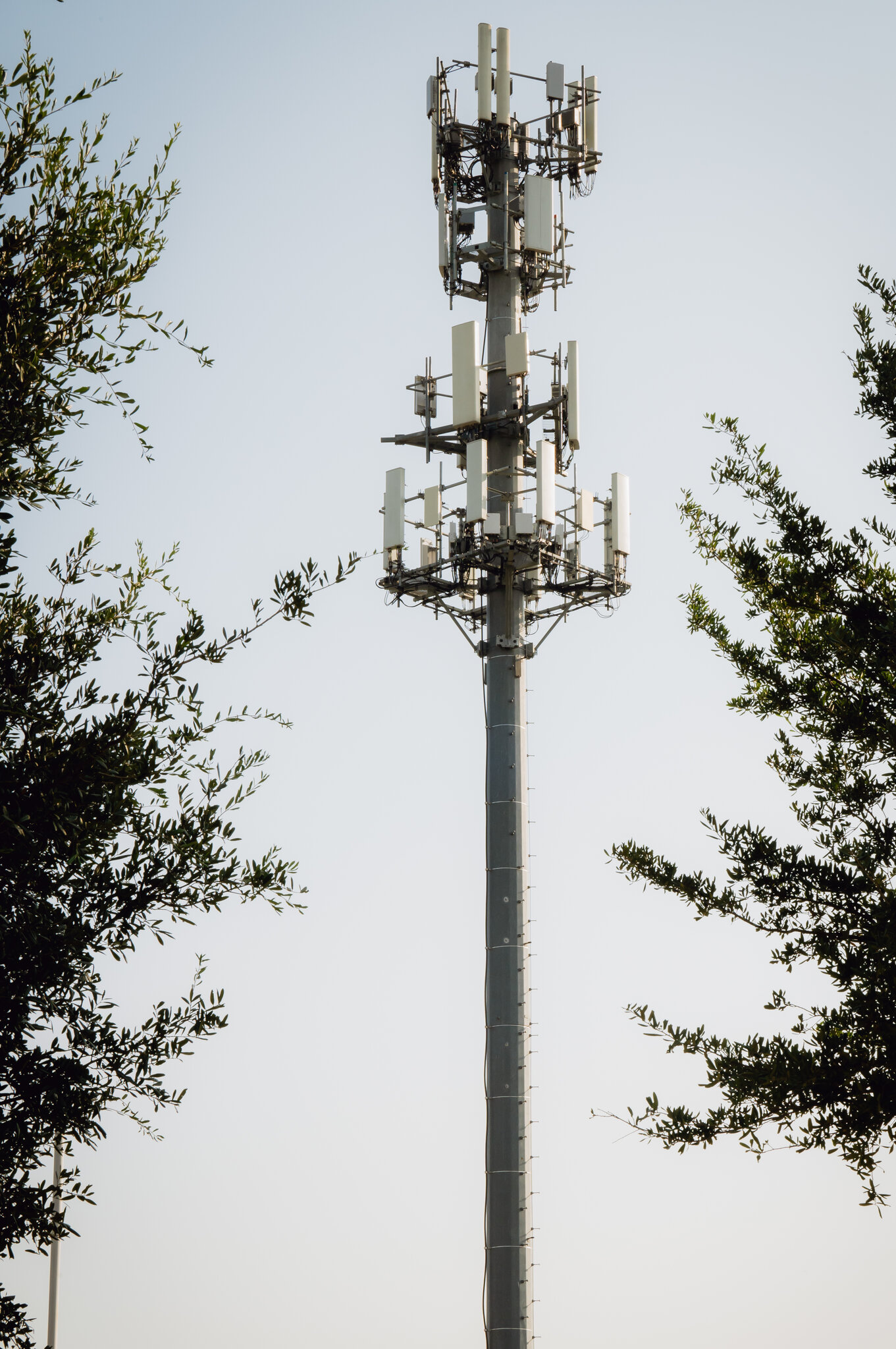 One Source of Paxton’s Wealth: A Cell Tower at a Hospital He Knew Well