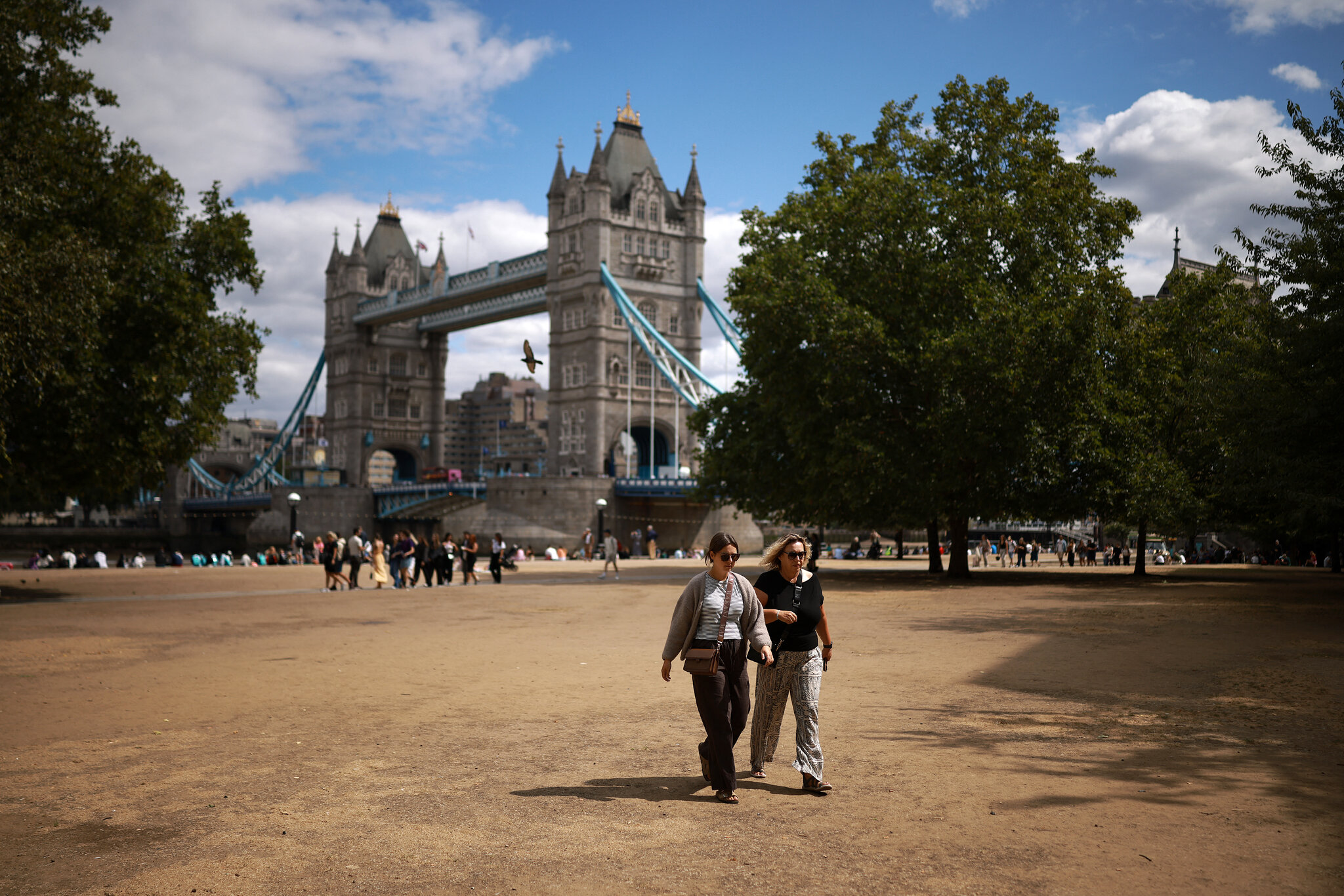 ‘Green and Pleasant’ No More, England Turns a Parched Brown
