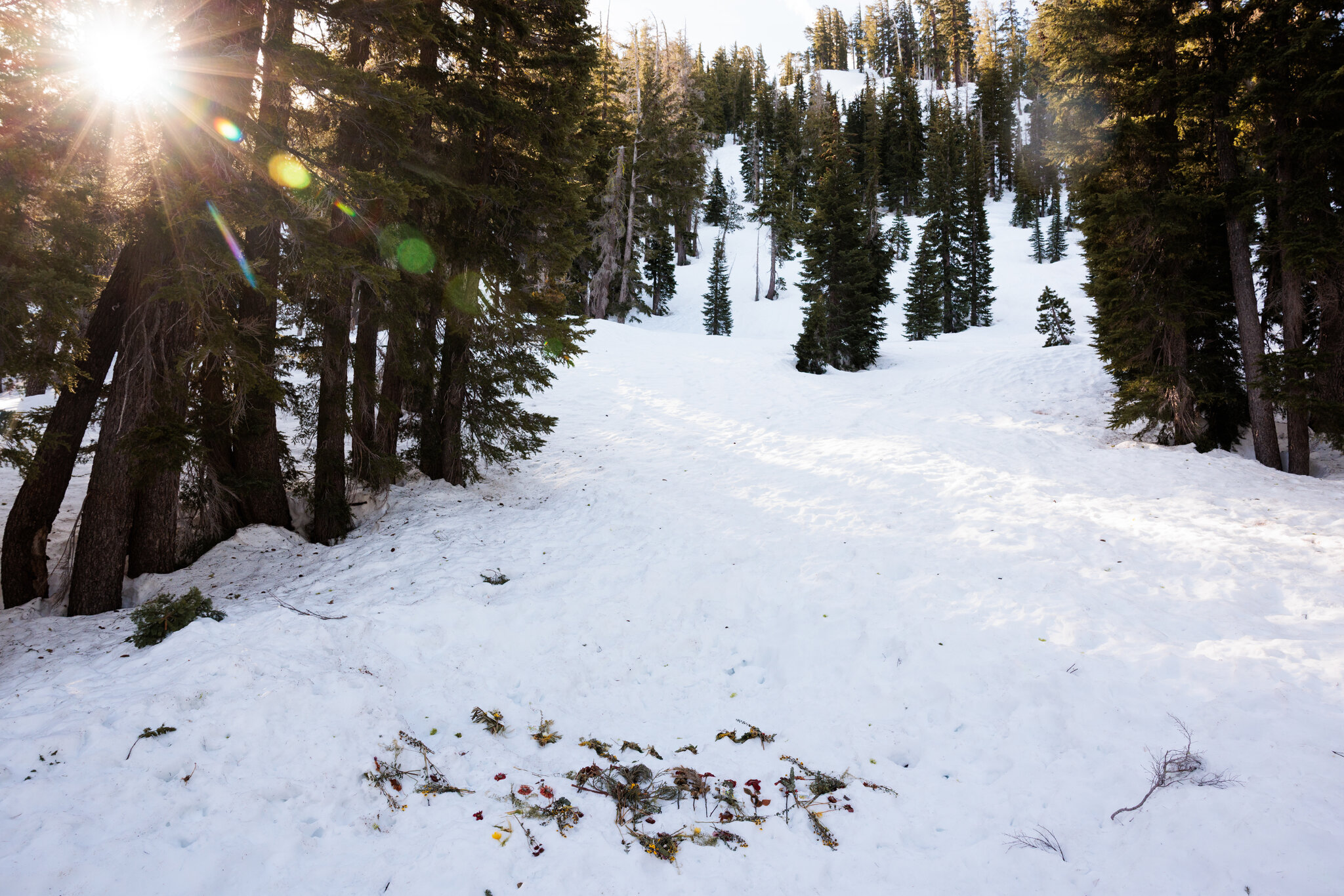 Internal Report on Avalanche That Killed 9 Skiers Assigns No Blame