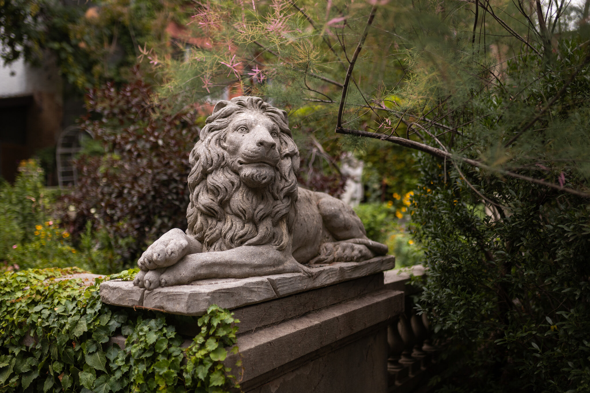 A Timeline of the Fight Over the Elizabeth Street Garden in Manhattan