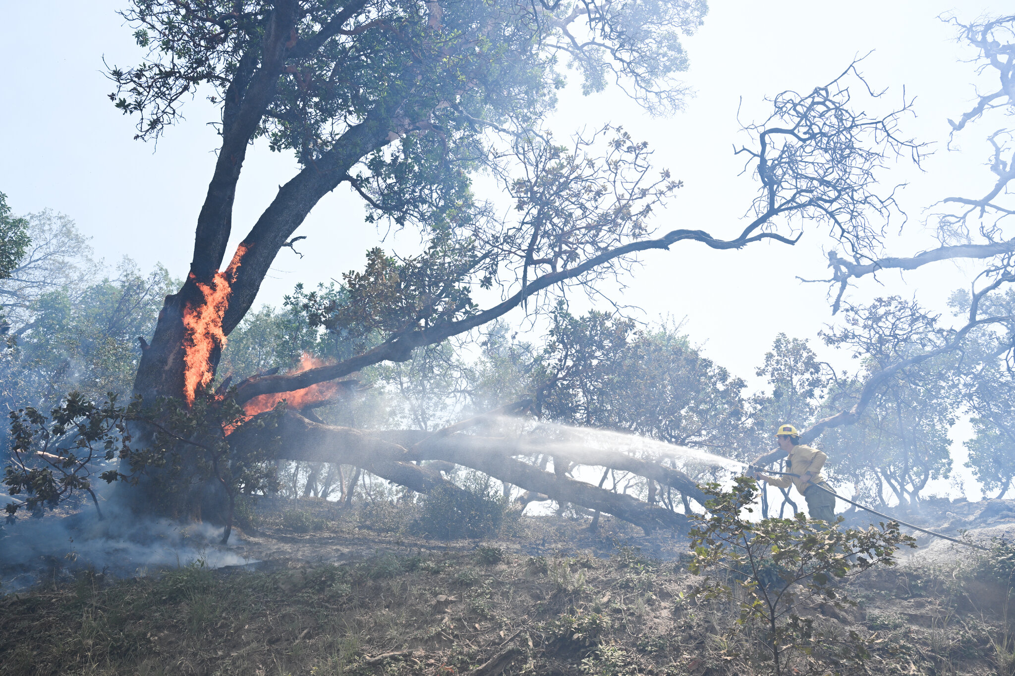 Wildfire Forces Evacuations in Big Sur, Along California’s Famed Northern Coast