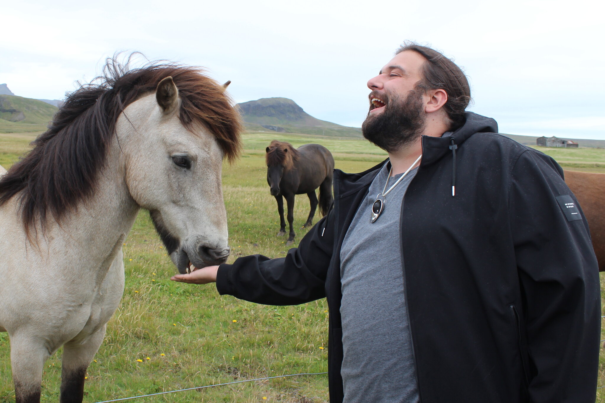 Eclipse chasers stake out their viewing spots in Iceland.