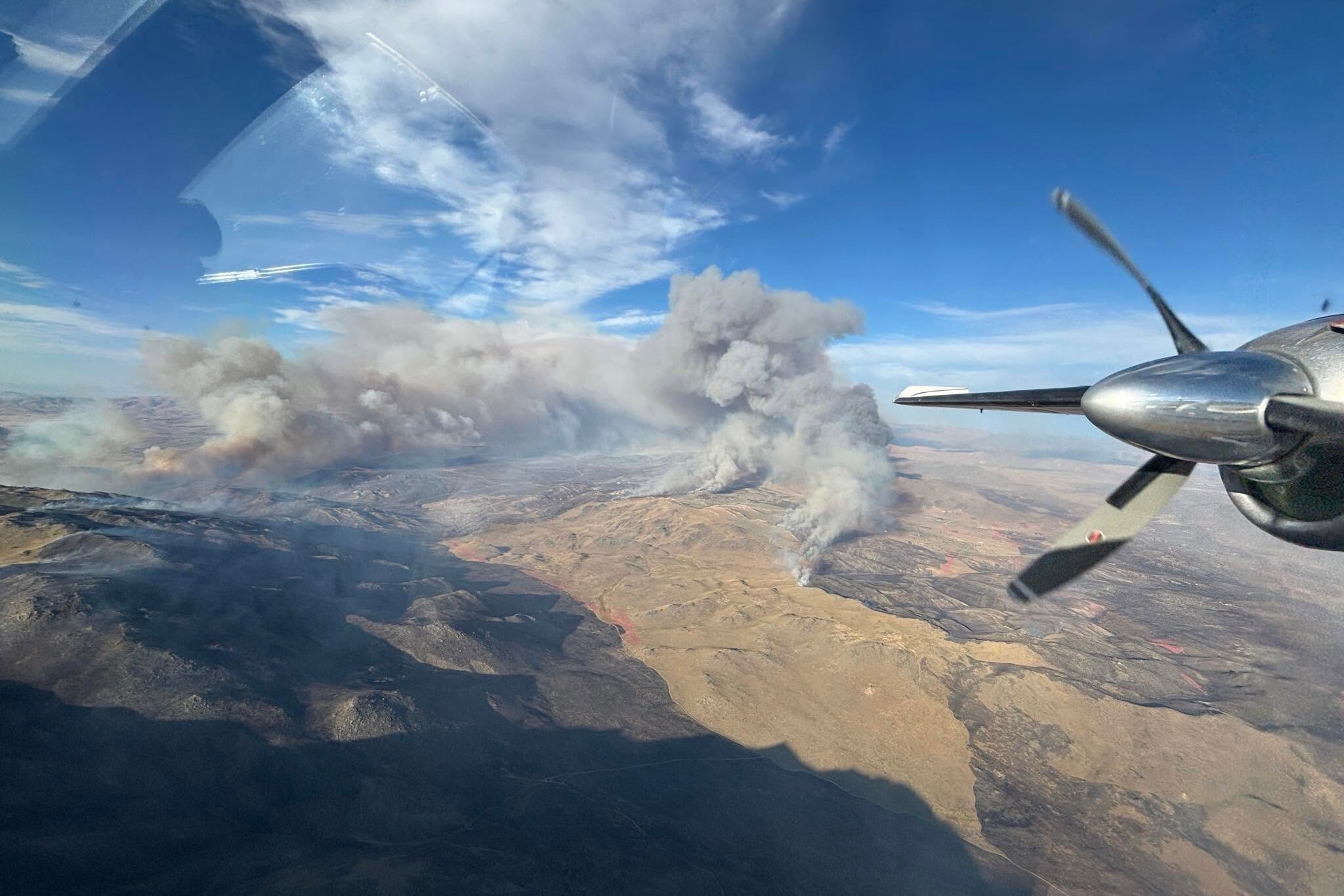 Woman Arrested After Confessing to Starting Nevada Fire, Officials Say