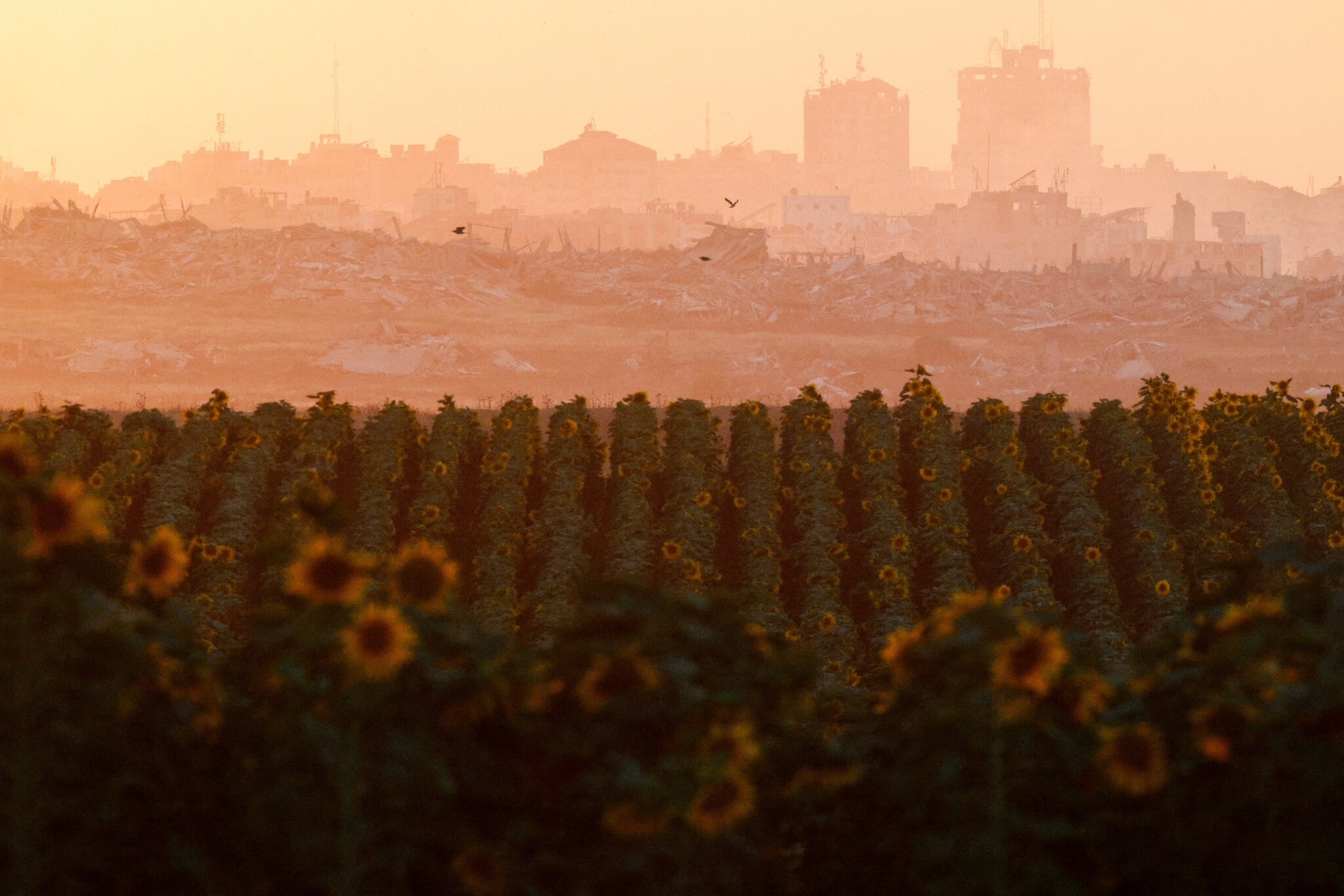 The Board of Peace Road Map for Gaza Gives Hope