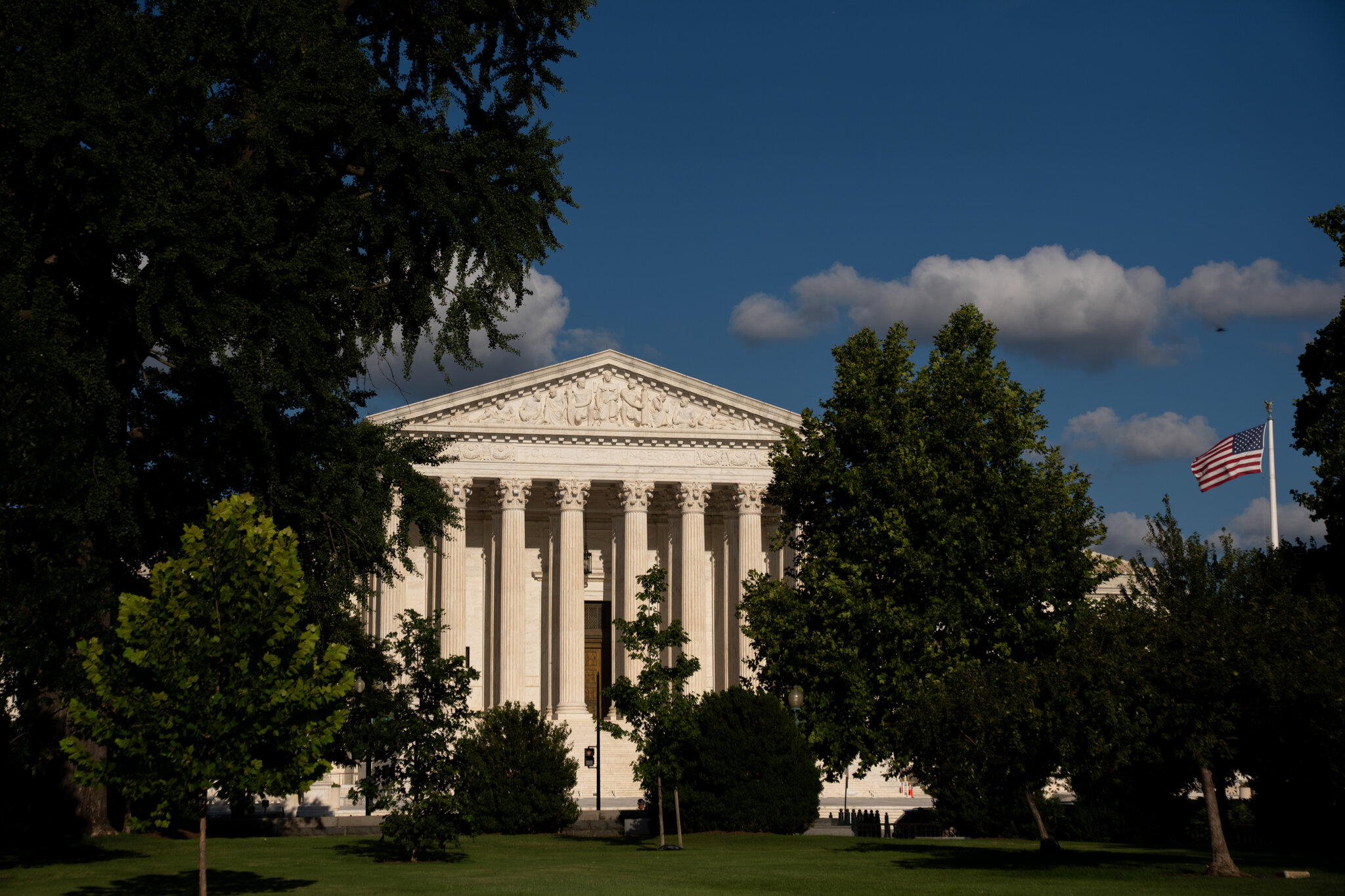 An Unlikely Emergency Appeal to the Supreme Court from a Dog Named Bruce