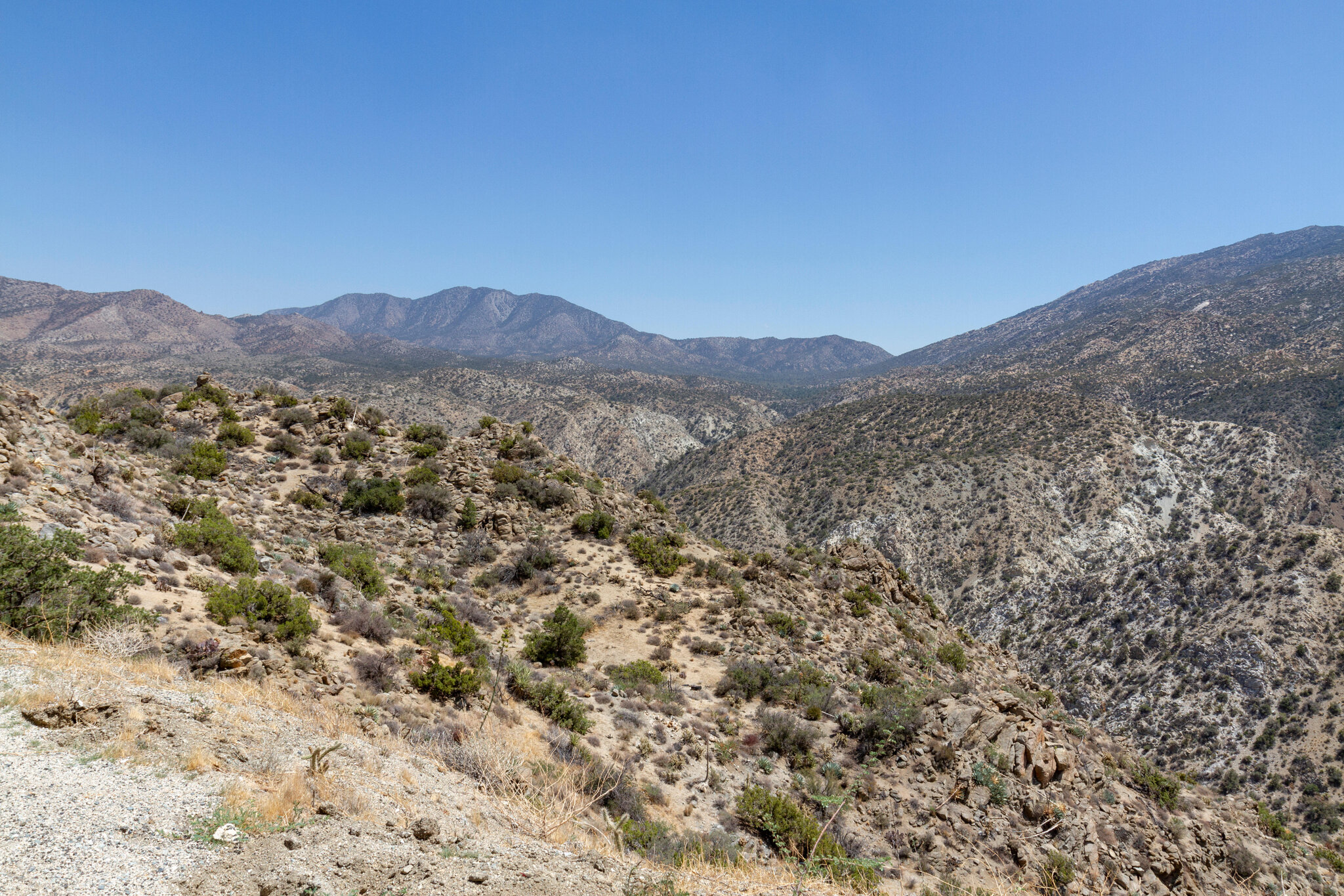 Remains of California Millionaire Who Vanished 45 Years Ago Are Identified